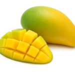 Untitled_20260203_204659