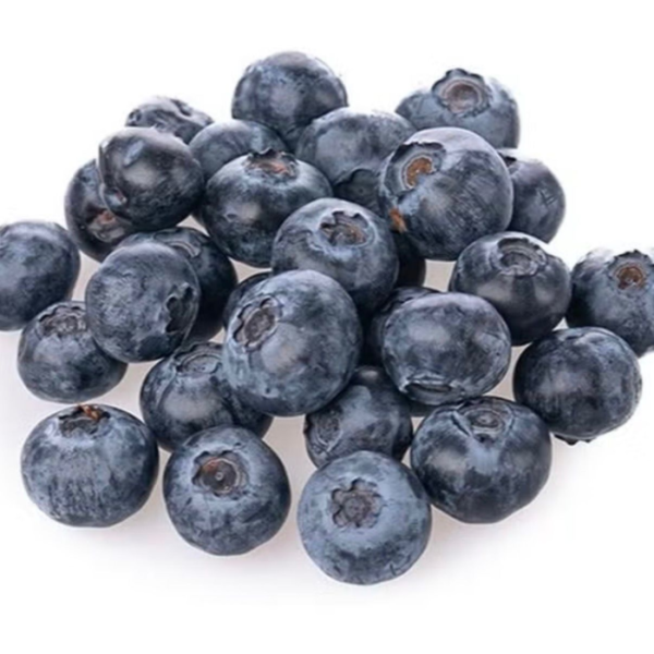 Buah Blueberry Segar